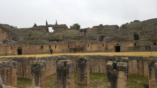 s354 italica
